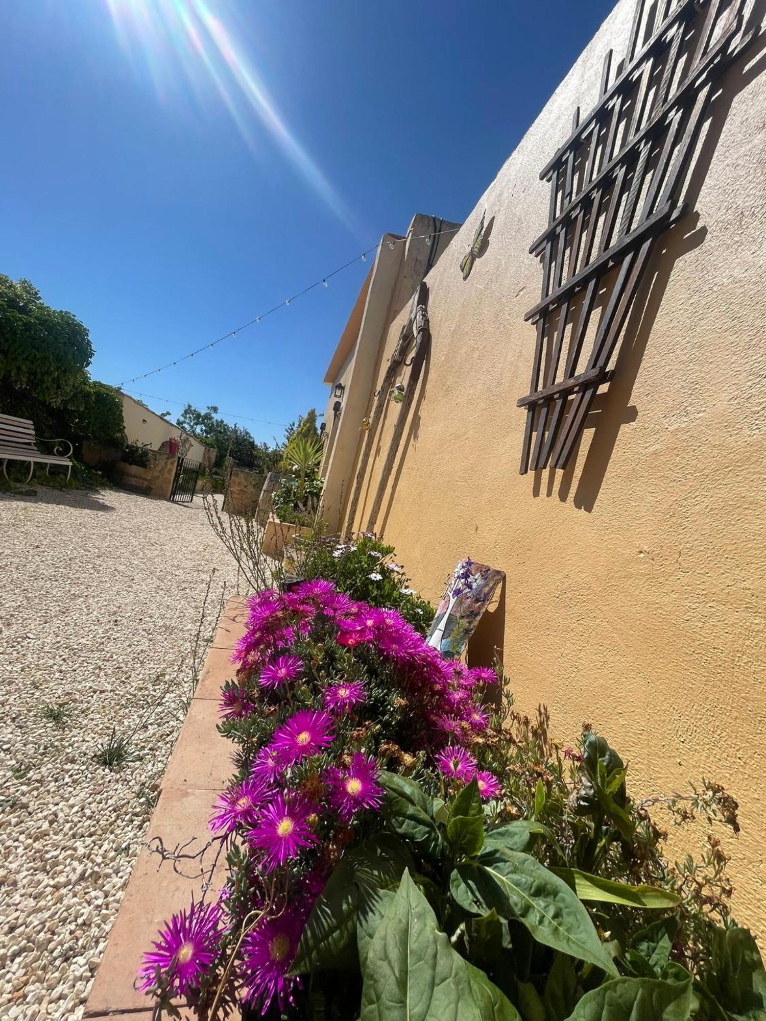 Casa Rural Ubeda - B&B - Pinoso-Alicante Exteriör bild